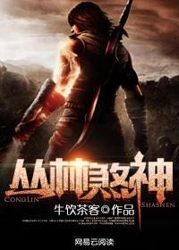 燕云赵婉莹章节封面