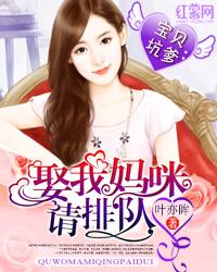 齐妙刘成小说封面