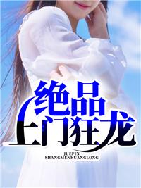 秦莫沈洛音封面