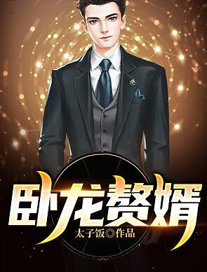 卧龙赘婿小说封面