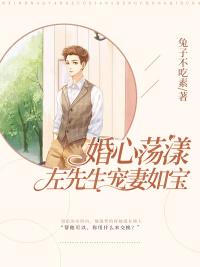 苏轻语左君洐封面