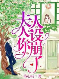 夫人你人设崩了封面