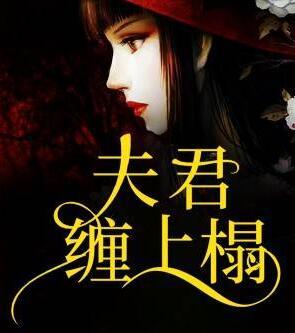 慕辞江君尧封面