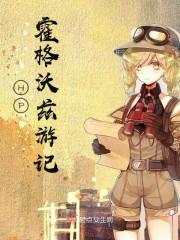 HP霍格沃兹游记封面