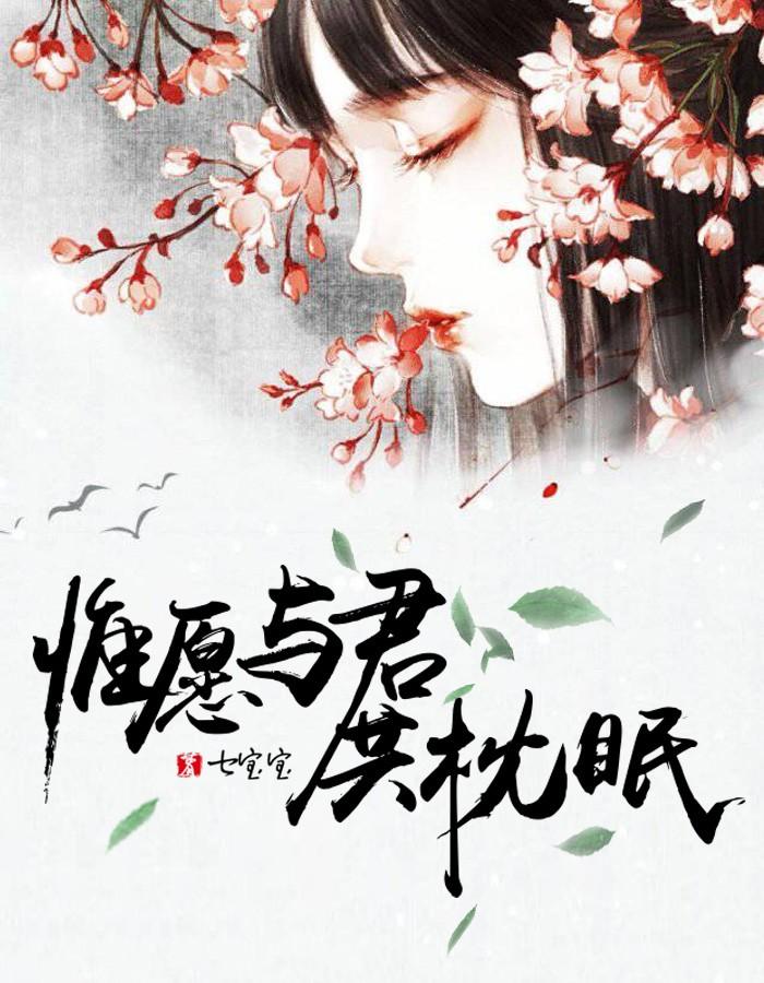 沈宜安燕婴封面