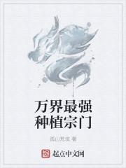 沈柚陆宴风热文封面