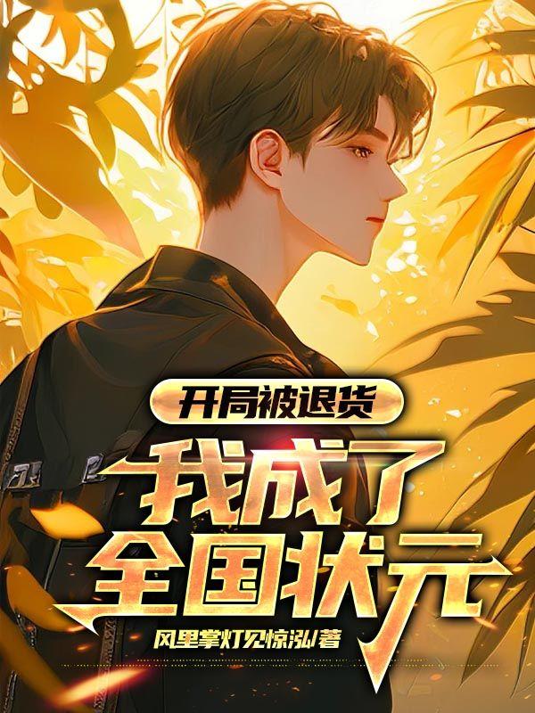 李向南林楚乔风里掌灯见惊泓最新章节在线封面