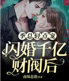 无限宠妻霸总又盯着她傻笑了小说封面