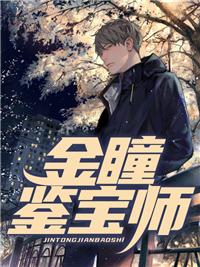 金瞳鉴宝师封面