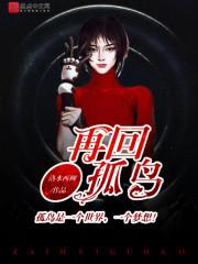 沈棠陆衍全本封面