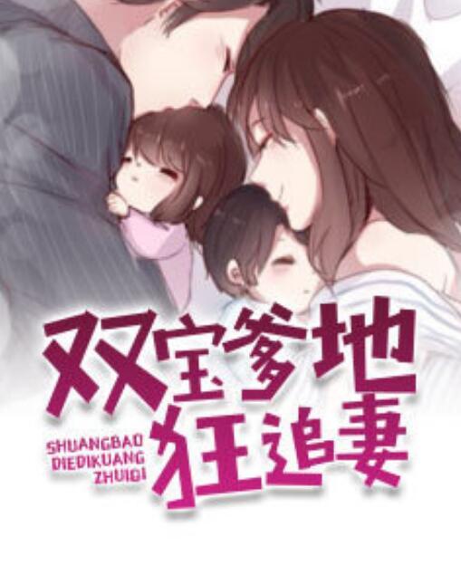双宝爹地狂追妻封面