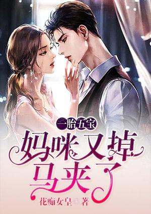 一胎五宝：妈咪又掉马夹了封面