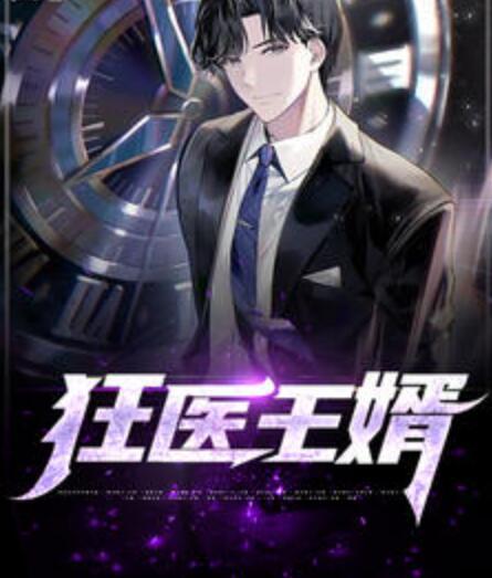 狂医王婿封面