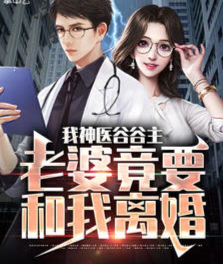我神医谷谷主，老婆竟要和我离婚封面