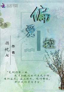 书名是岑稚初靳时谦封面