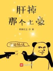 蓝愿秦淮是什么小说封面