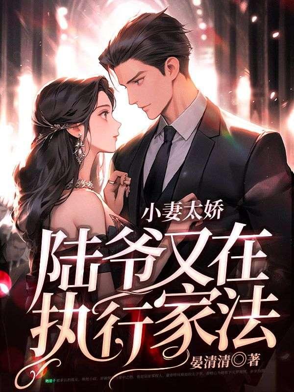 温宁陆晏辞封面