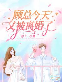 顾总今天又被离了小说封面