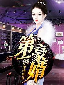 沈瑜晚萧星泽小说封面