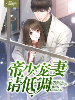 霍项南慕雪双小说封面