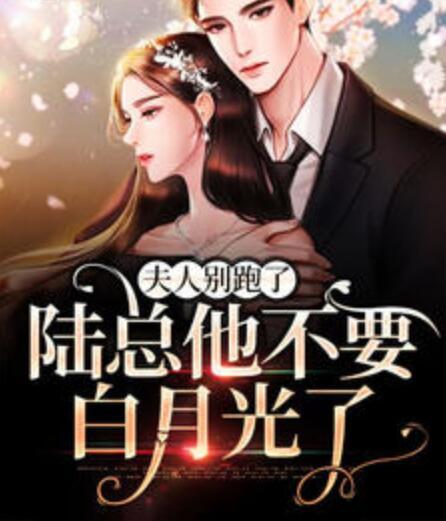 夫人别跑了，陆总他不要白月光了封面