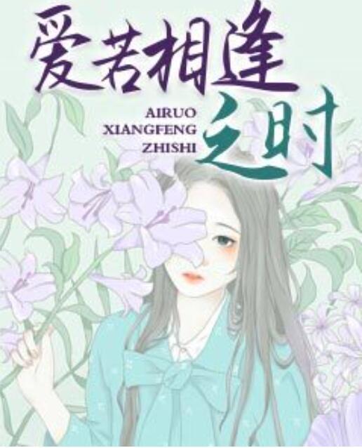 爱若相逢之时封面