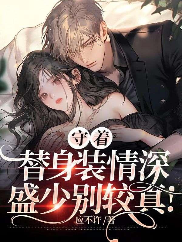 商渺盛丰免费全文封面