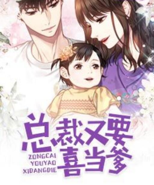 总裁又要喜当爹封面