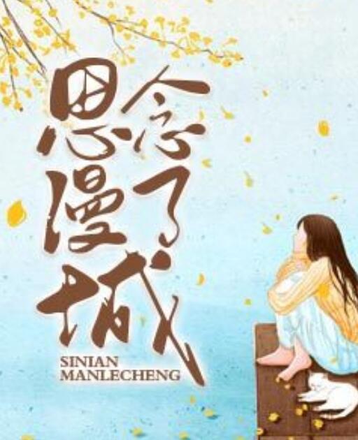 思念漫了城封面