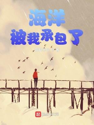 全集宁夜辰洛如缨封面