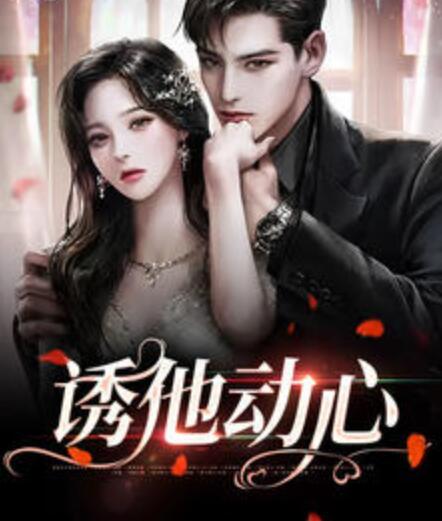 蓄意招惹宋沉衍沈岁柔封面