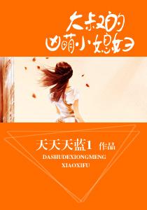 叶南琛时梦夜免费封面