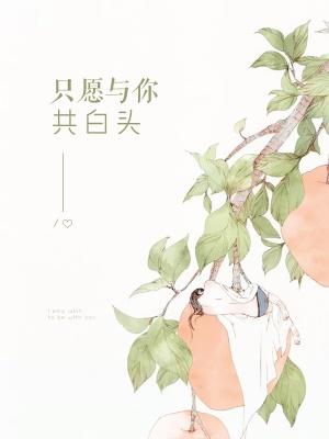 年少情深到相看两厌婚恋封面