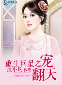 大明武侯陈阳封面