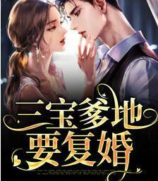 三宝爹地要复婚封面