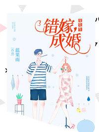 沈先生错嫁成婚封面