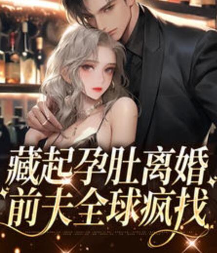 藏起孕肚离婚，前夫全球疯找封面