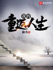 弟弟犯罪后，我亲手送他进监狱新书封面