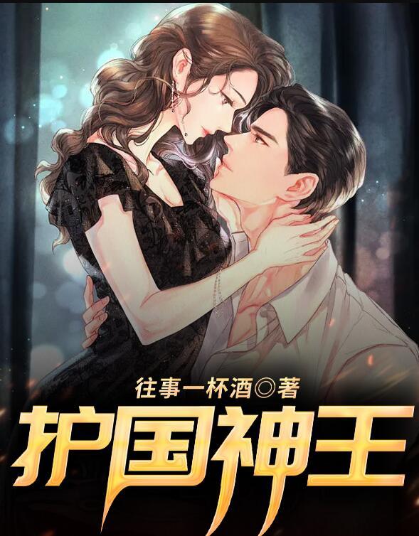 护国神王封面