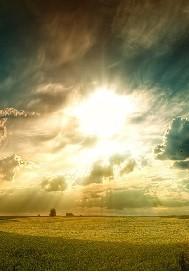 荣子姻陆流泽封面