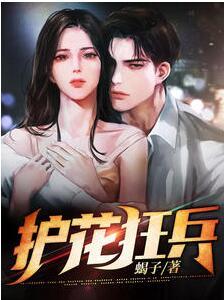 叶苍天唐欣婉封面