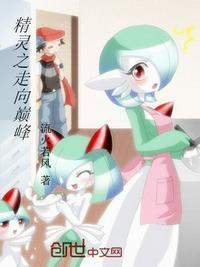 精灵之走向巅峰封面