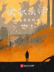 全职法师全系共鸣封面