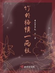 竹外梅横一两枝封面