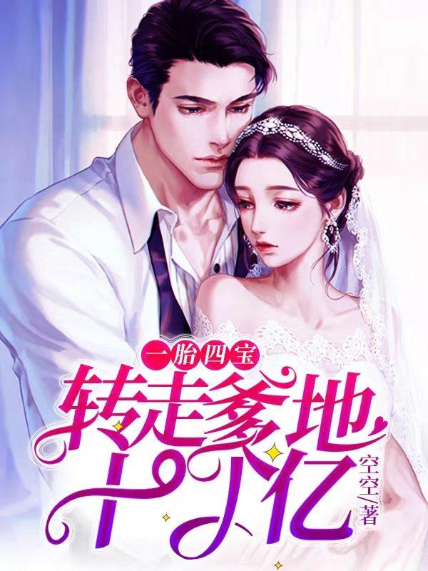 一胎四宝：转走爹地十个亿封面