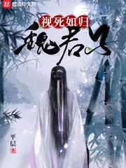 视死如归魏君子封面