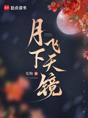 月下飞天镜封面