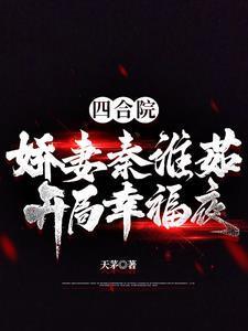 四合院：娇妻秦淮茹，开局幸福夜封面