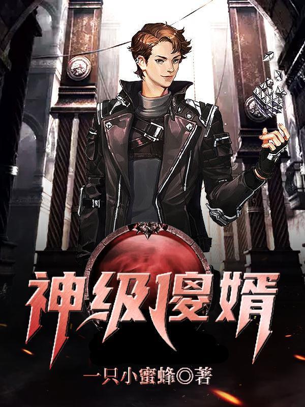 神级傻婿封面