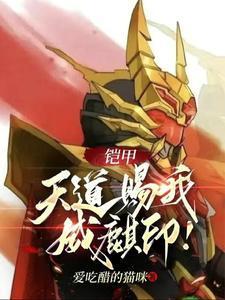 铠甲：天道赐我威麒印封面